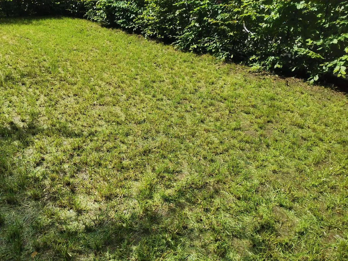 Apartment Near Fair And Central City In Few Min, With Garden Frankfurt am Main